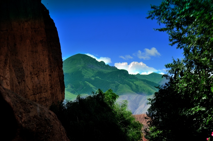 dsc_2715a.jpg