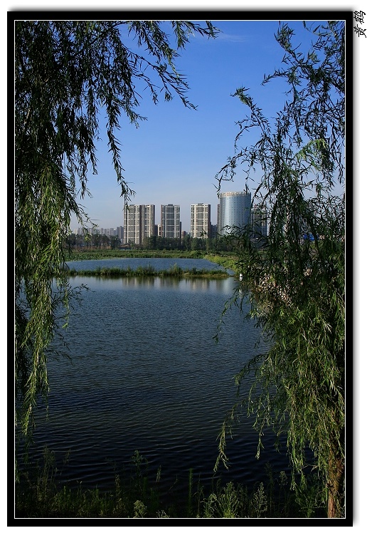 ѷ355.jpg