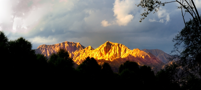 dsc_2818a.jpg