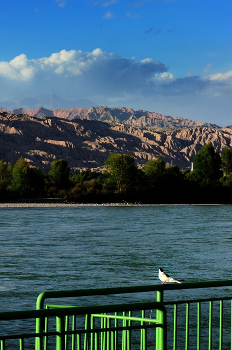 dsc_2836a.jpg