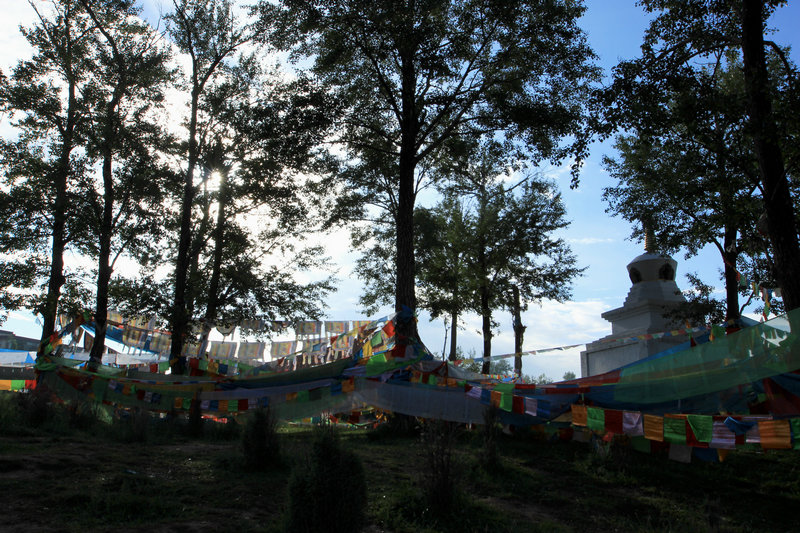 img_5543.jpg