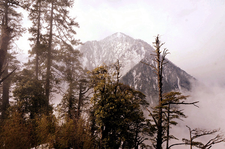 166.jpg