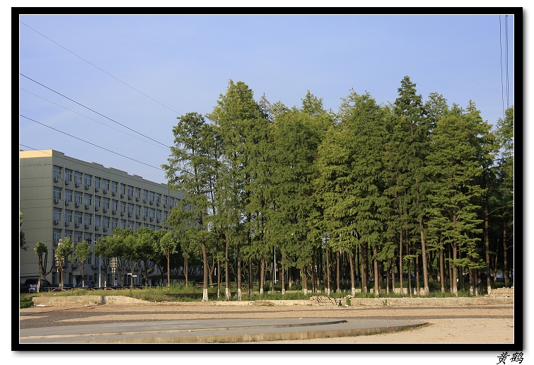 ѷ402.jpg