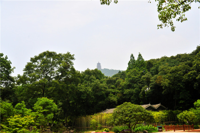 dsc_6166_.jpg