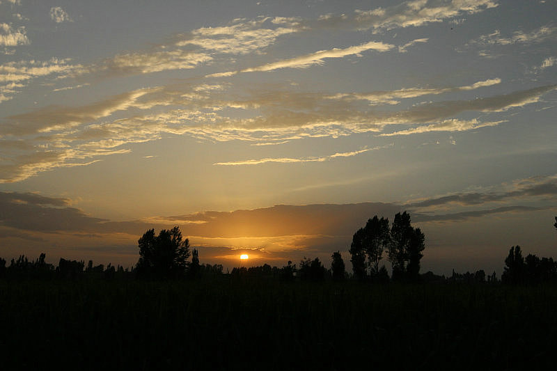 img_4499.jpg