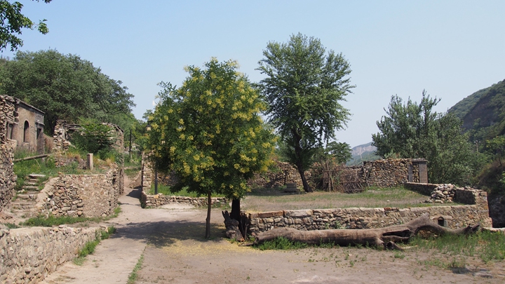 p1010852.jpg