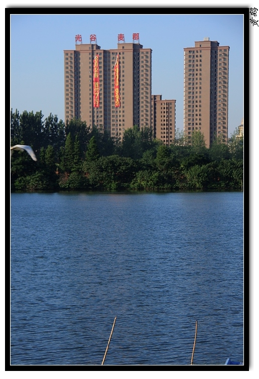 ѷ450.jpg