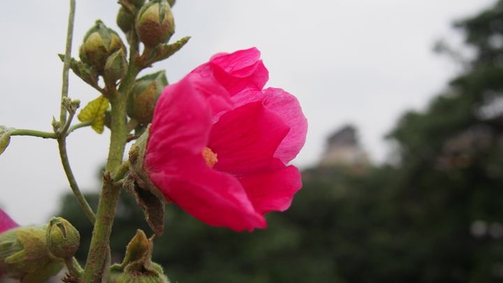 p1010416_.jpg