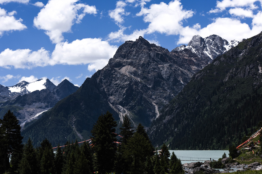 dsc_1701.jpg
