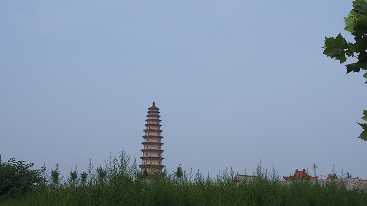 p1010845_.jpg