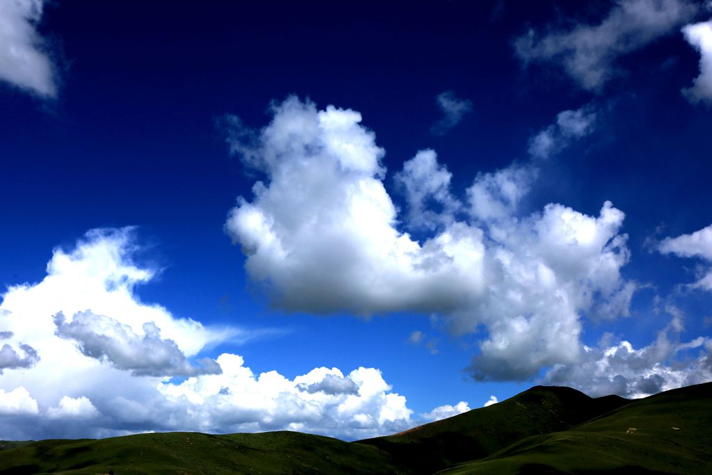 083a2100.jpg