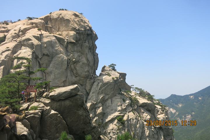 img_6384.jpg
