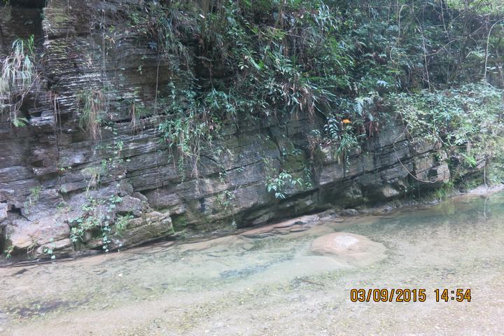 img_6989.jpg