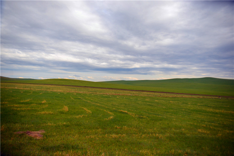 dsc_4044.jpg