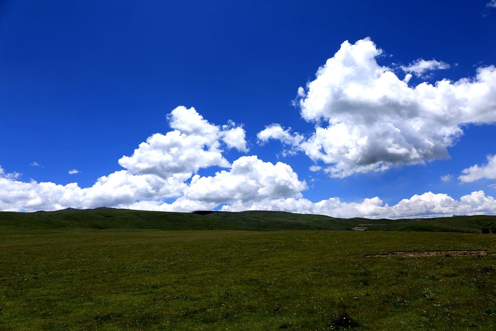 083a2517.jpg