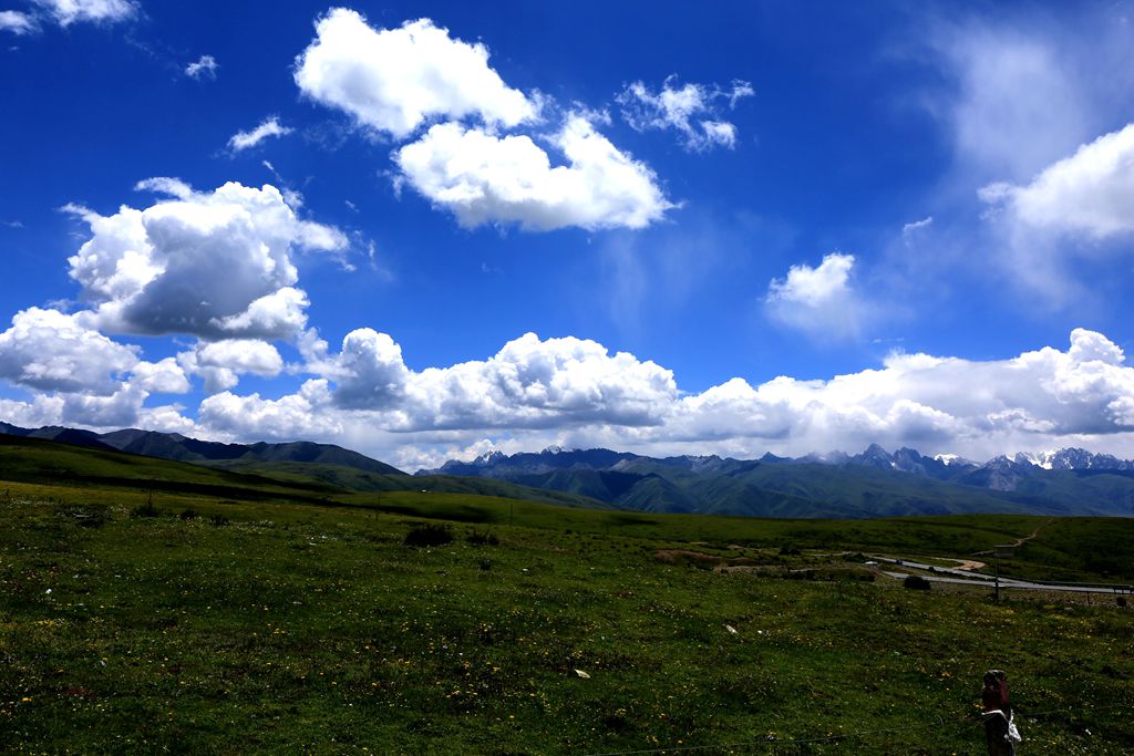 083a2560.jpg