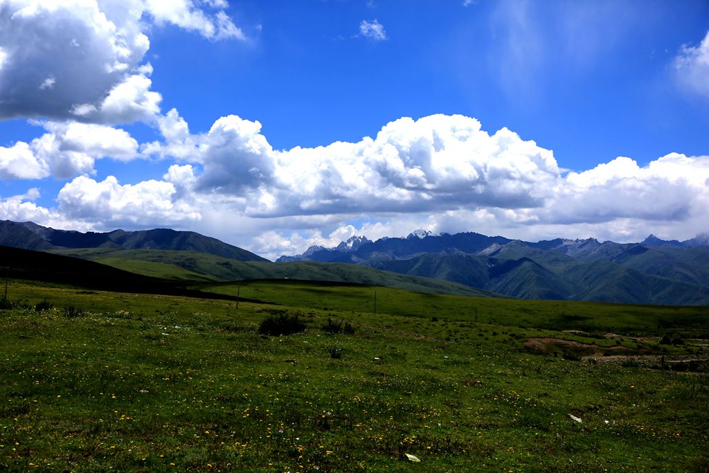 083a2557.jpg