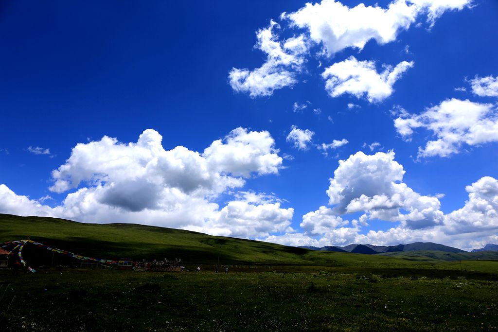 083a2579.jpg