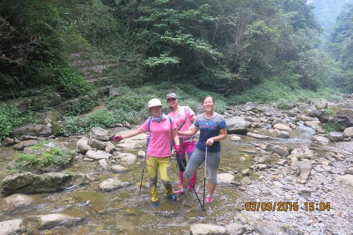 img_7005.jpg