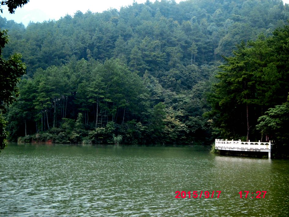 cimg8010_.jpg