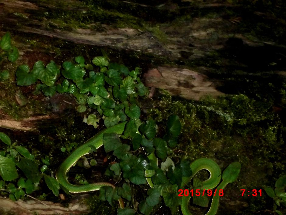 cimg8035_.jpg