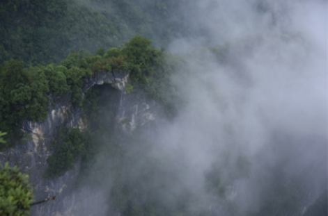 qq图片20150918172102.png