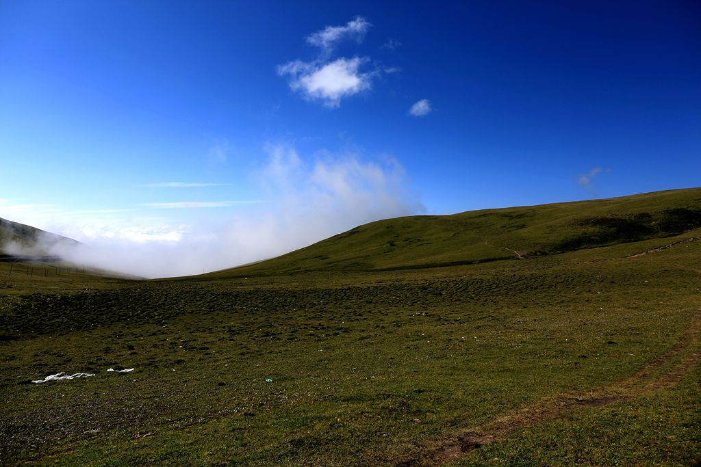 083a3375.jpg