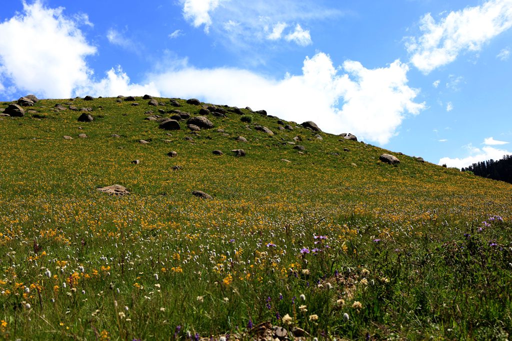 083a3454.jpg