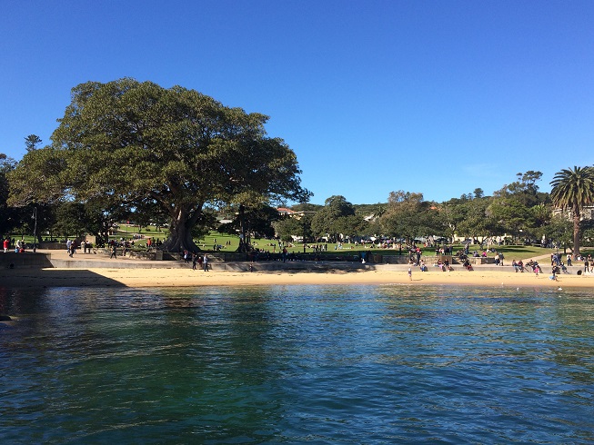 sydney  photo 2139.jpg