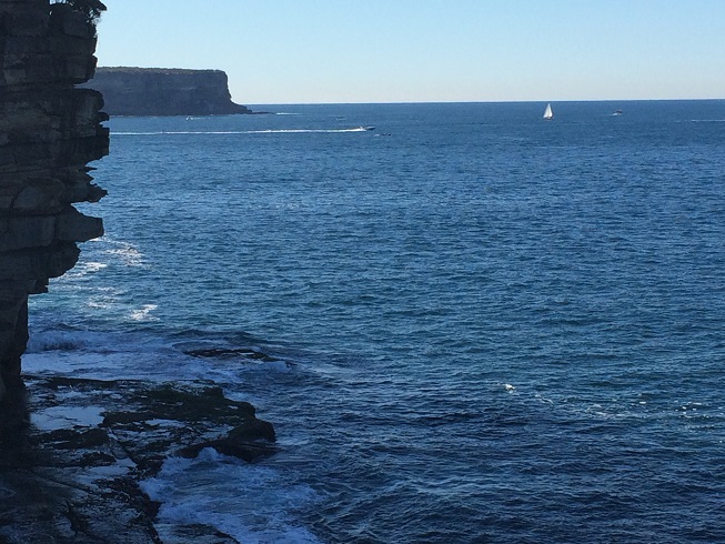 sydney  photo 2156.jpg