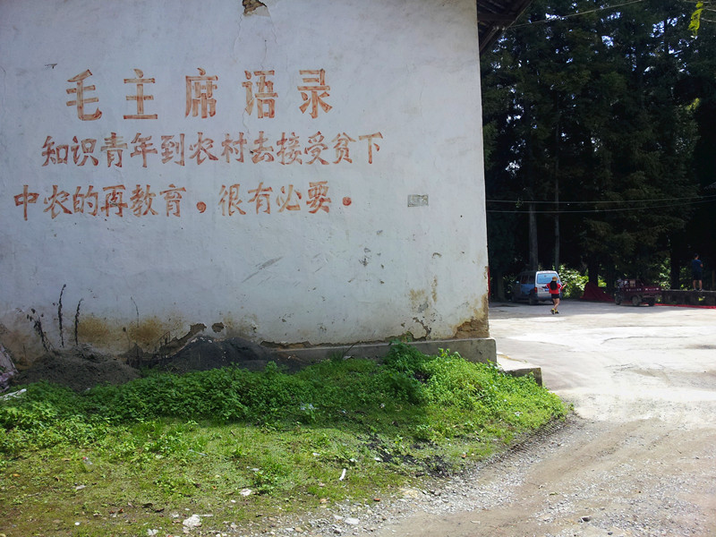 20150906_114420_.jpg