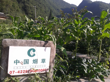 qq图片20150921124855.png