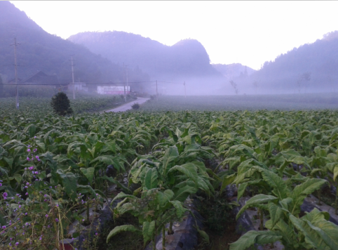 qq图片20150921124831.png