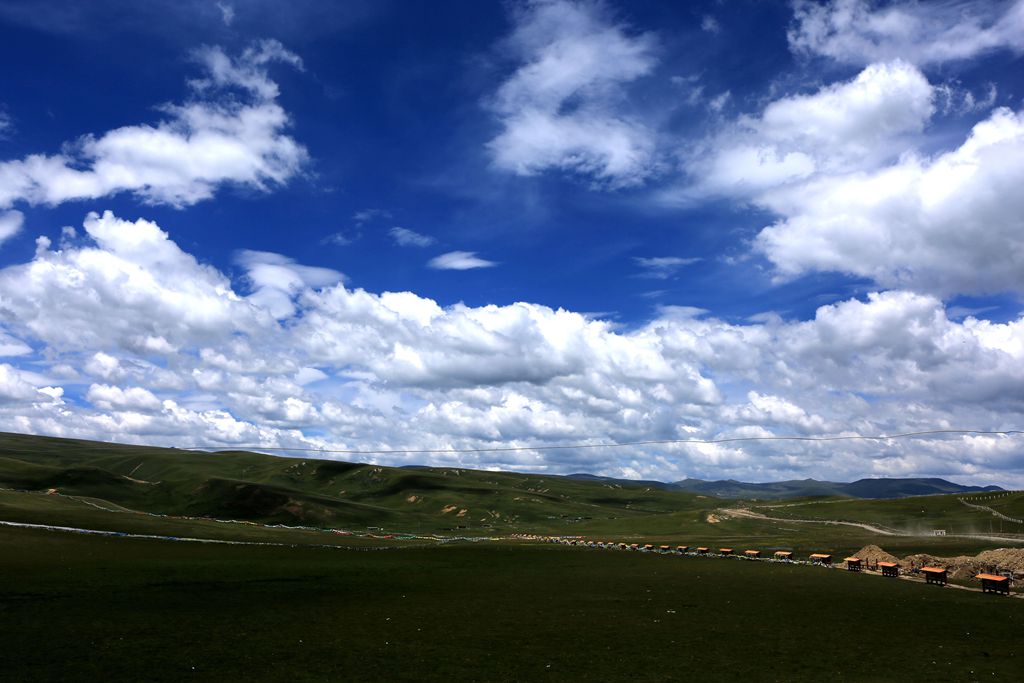 083a3460.jpg