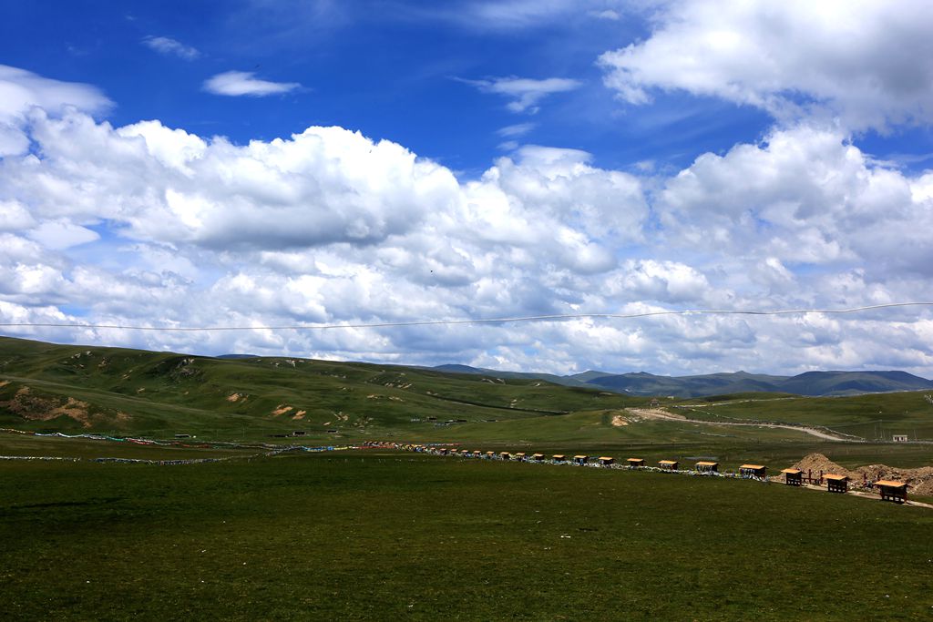 083a3465.jpg
