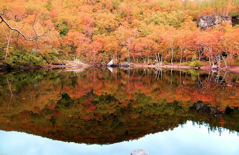 _mg_7292.jpg
