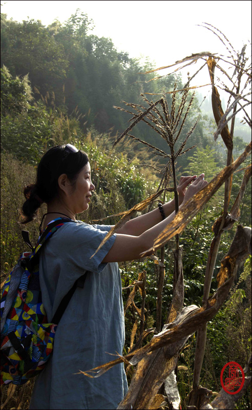 棺材山（4）.jpg