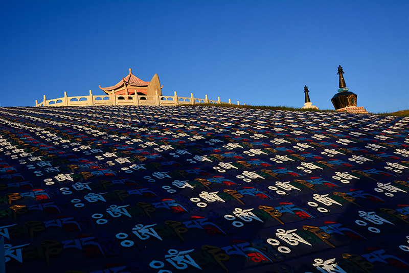 dsc_0455a.jpg