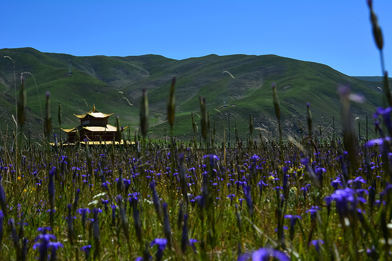 dsc_0241a.jpg
