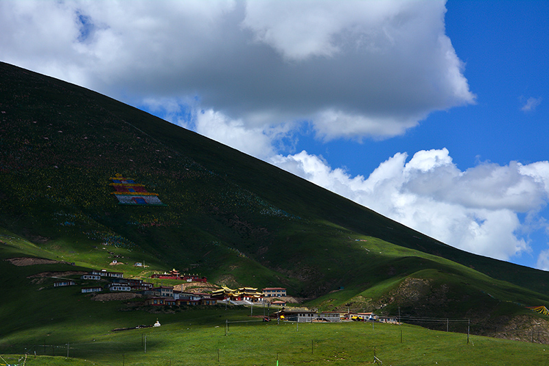 dsc_0256a.jpg