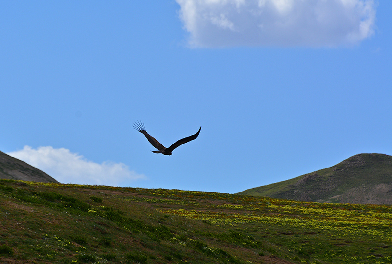 dsc_0306a.jpg