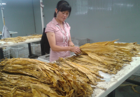 qq图片20150921125237.png