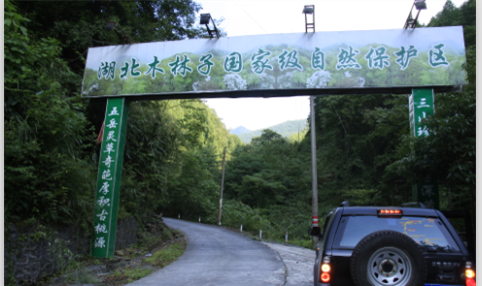 qq图片20150922093916.png
