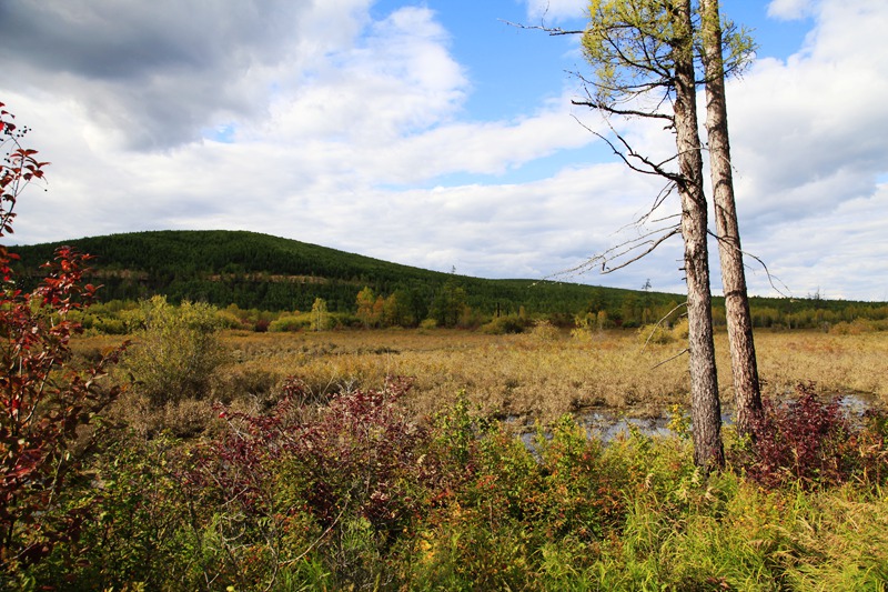 _mg_9946.jpg