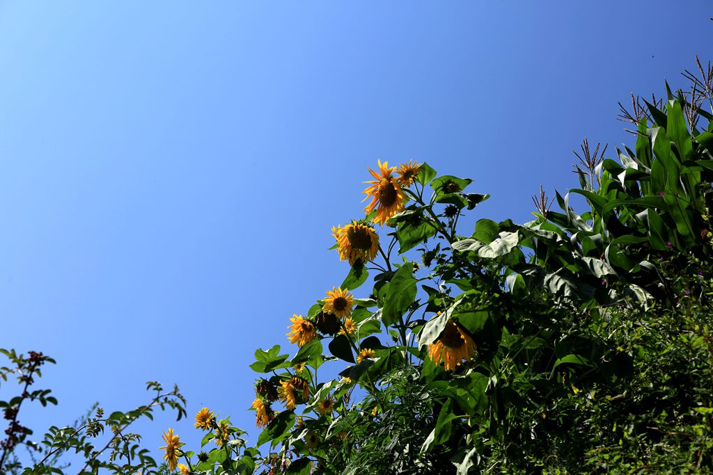 083a0283.jpg