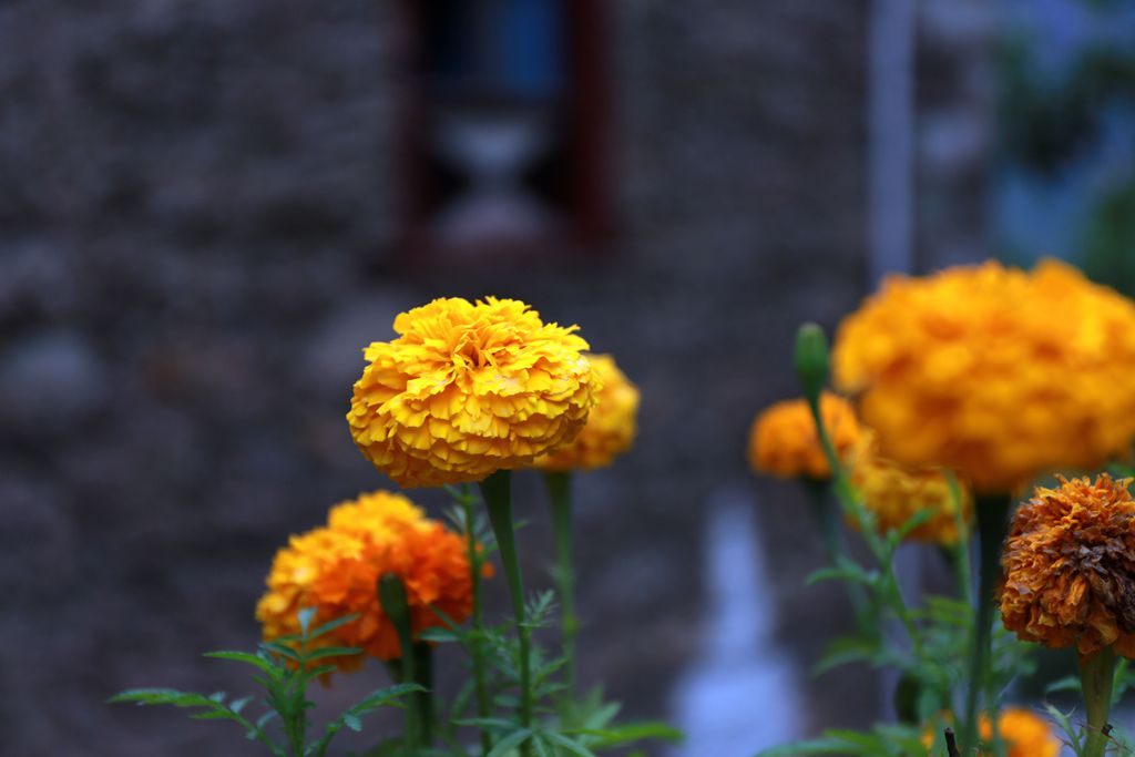 083a0398.jpg