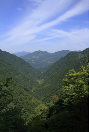 qq图片20150927170808.png