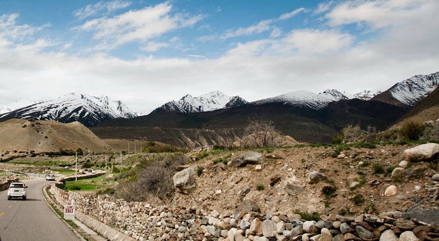 _dsc3553.jpg