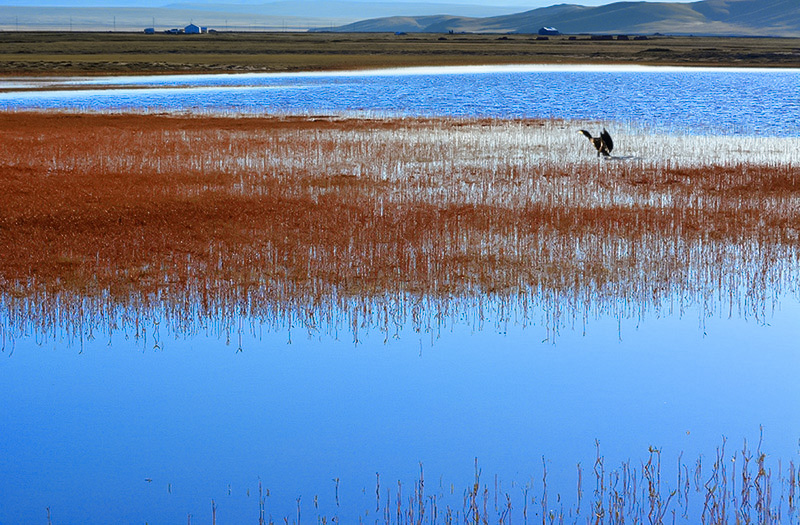 dsc_0524a.jpg