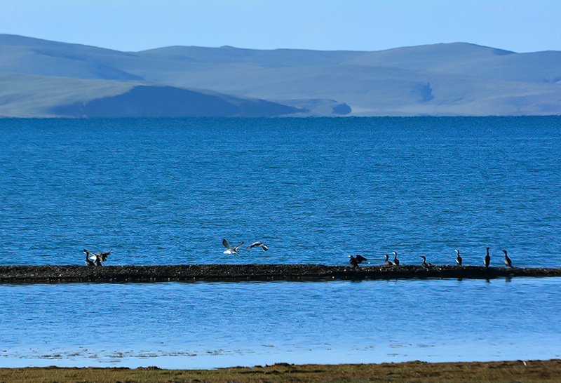 dsc_0542a.jpg